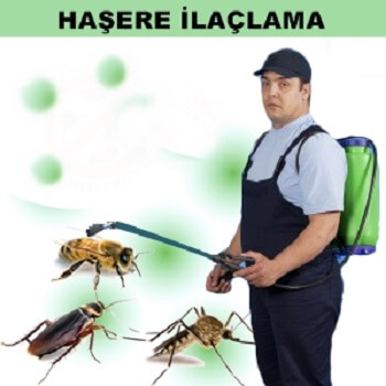 Abana Böcek İlaçlama